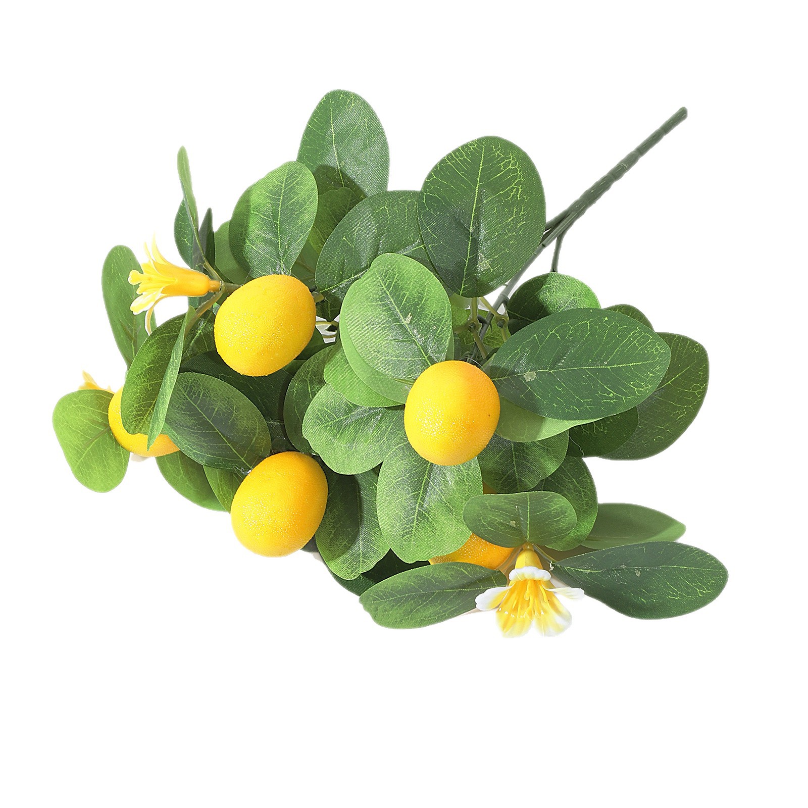 Rama de limón decorativa de se - Desk Setup Natural reseña y precio